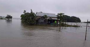 Govt financial aid makes many Sylhet people’s life normal
